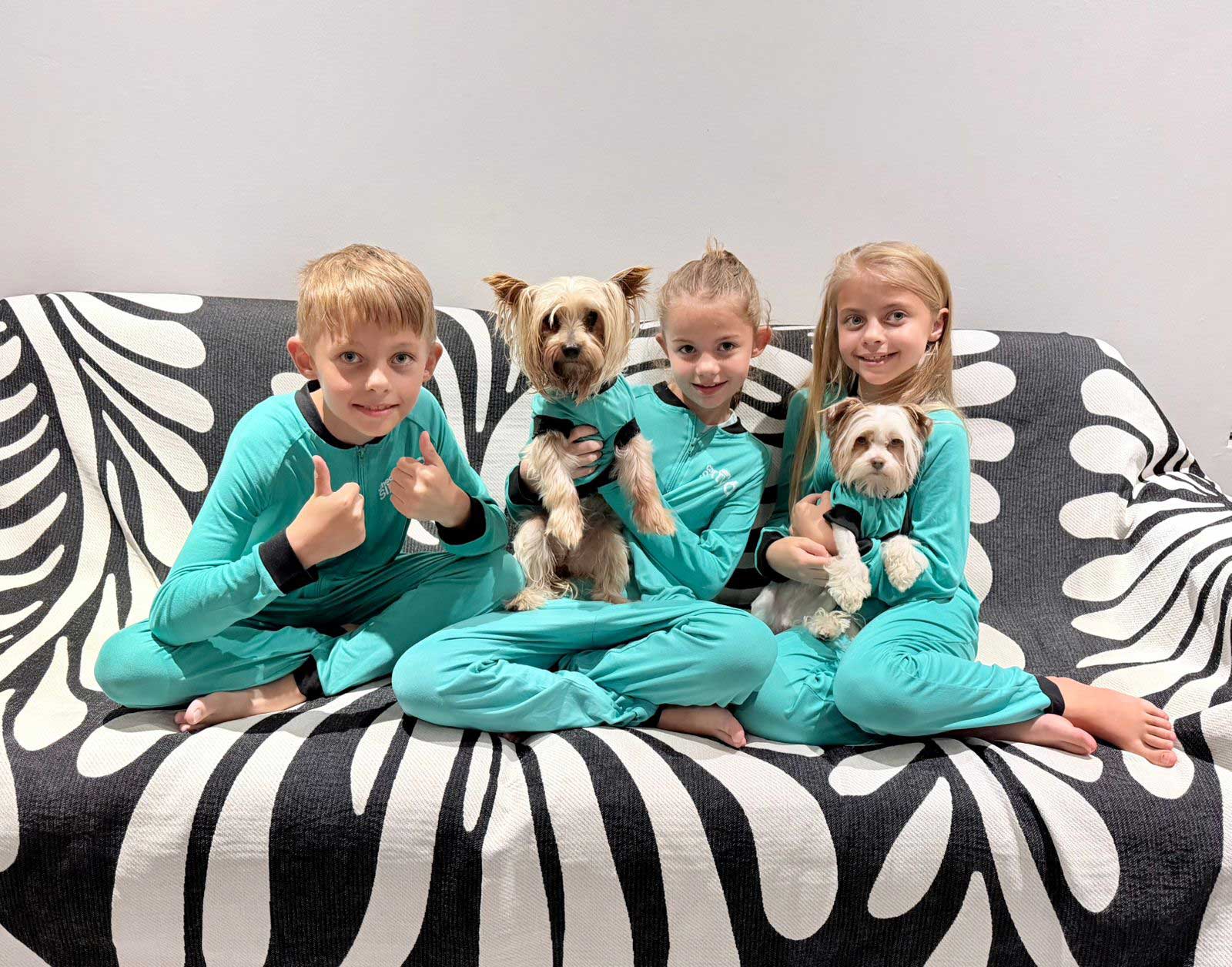 Adoption Success Story Aero | Biewer Terrier